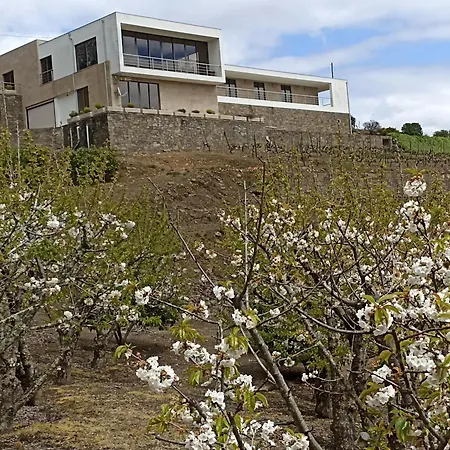 Quinta Dos Limoes Villa